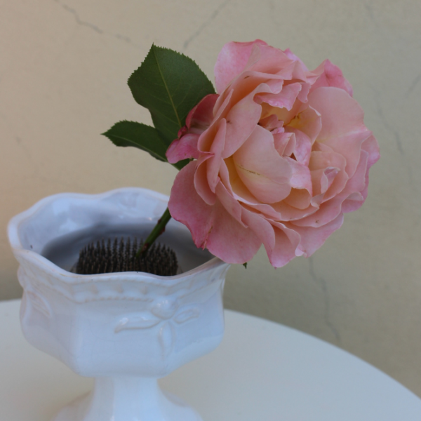 kenzan prodej ikebana pomůcka pro aranžování řezaných květin